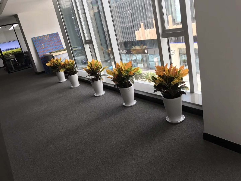 如何選擇一家專業(yè)的花卉租擺公司？