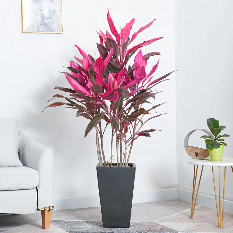 麗澤商務(wù)區(qū)寫(xiě)字樓大廈花卉租擺麗澤辦公樓綠植租擺公司