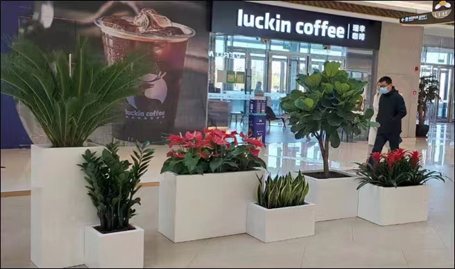 朱頂紅冬天要怎么養(yǎng)護(hù)？