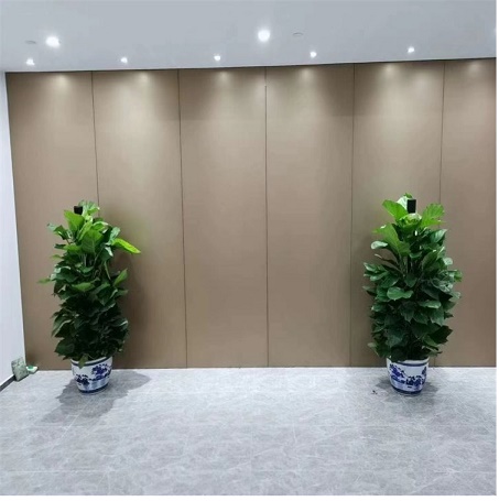 綠蘿的養(yǎng)護知識